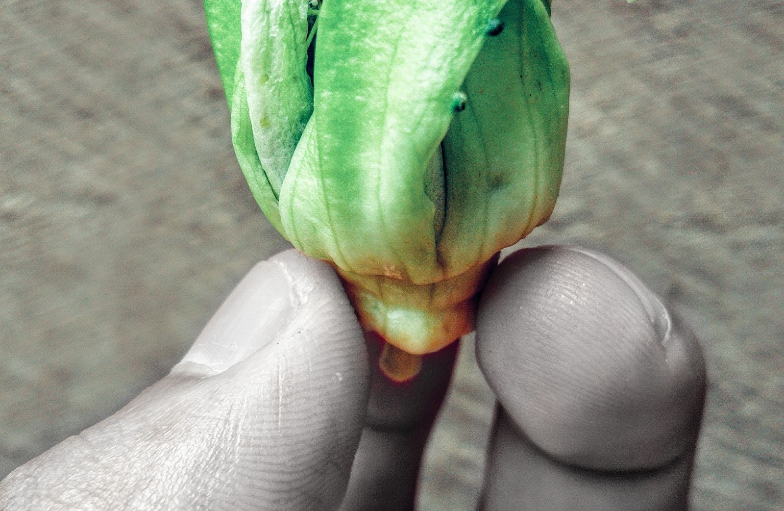 Close-up of photo retouching in progress
